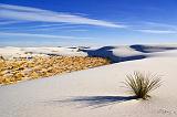 White Sands_32017